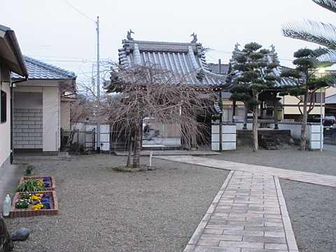 3月1日夕方6時の境内です