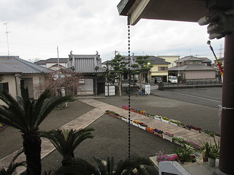 朝6時半／本堂より境内を望む