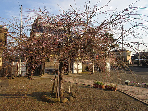 4月4日午後5時②