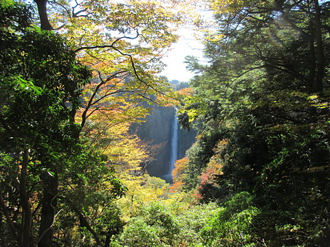 大吊橋近くの振動の滝