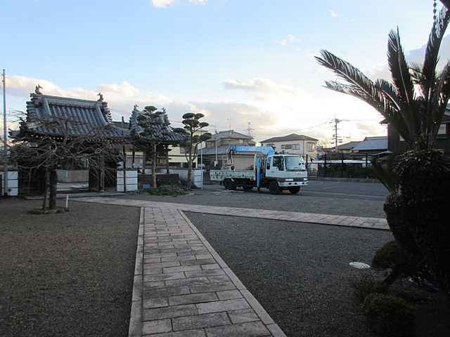 大きな車が入って剪定のようす