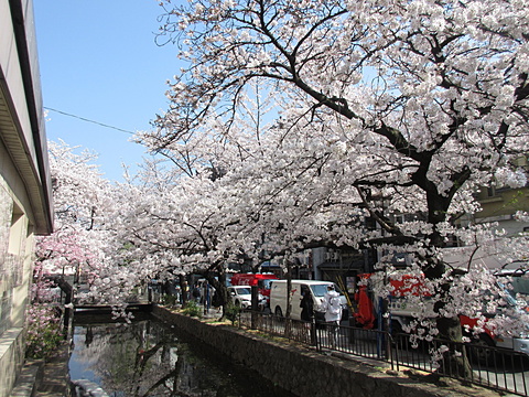 四条木屋町高瀬川