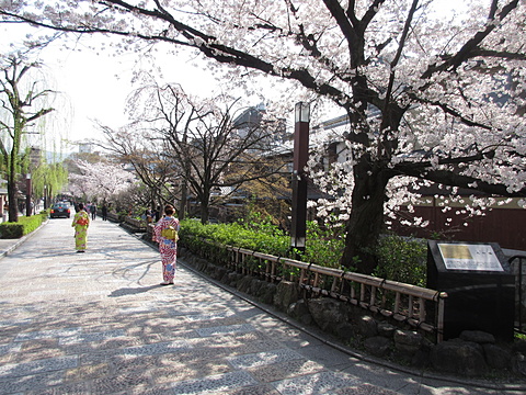 白川沿いの石畳の道