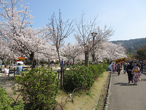 円山公園は露店もいっぱい