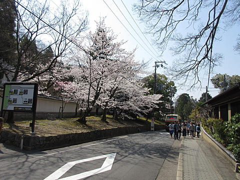 知恩院門前