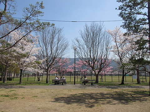 平安神宮前岡崎公園グランド