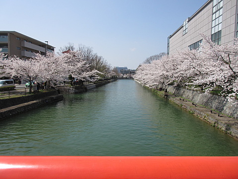 平安神宮鳥居橋から