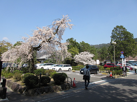 南禅寺駐車場