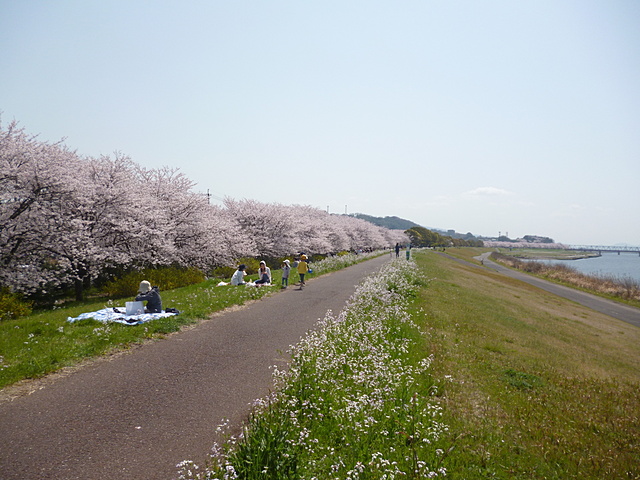 大野川畔大在土手／シートを広げてお弁当をいただきます