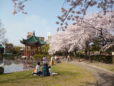 武漢の森公園