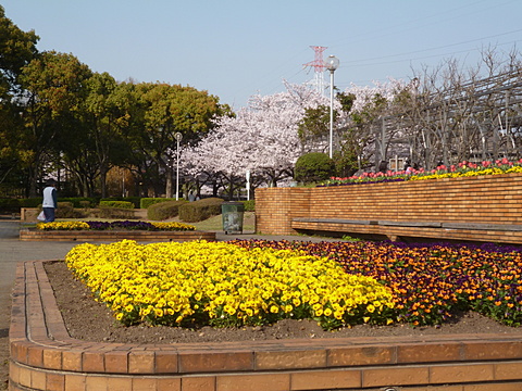 風車のある公園