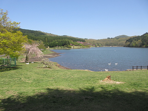 穏やかな志高湖の春の佇まい