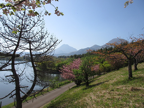 由布岳・鶴見岳をバックにして