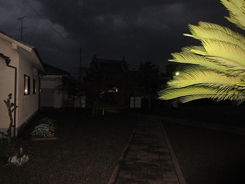 午前6時雨上がりの朝でどんより曇っています